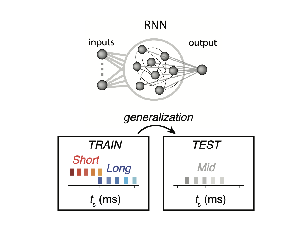 How does the brain apply old knowledge to a new context