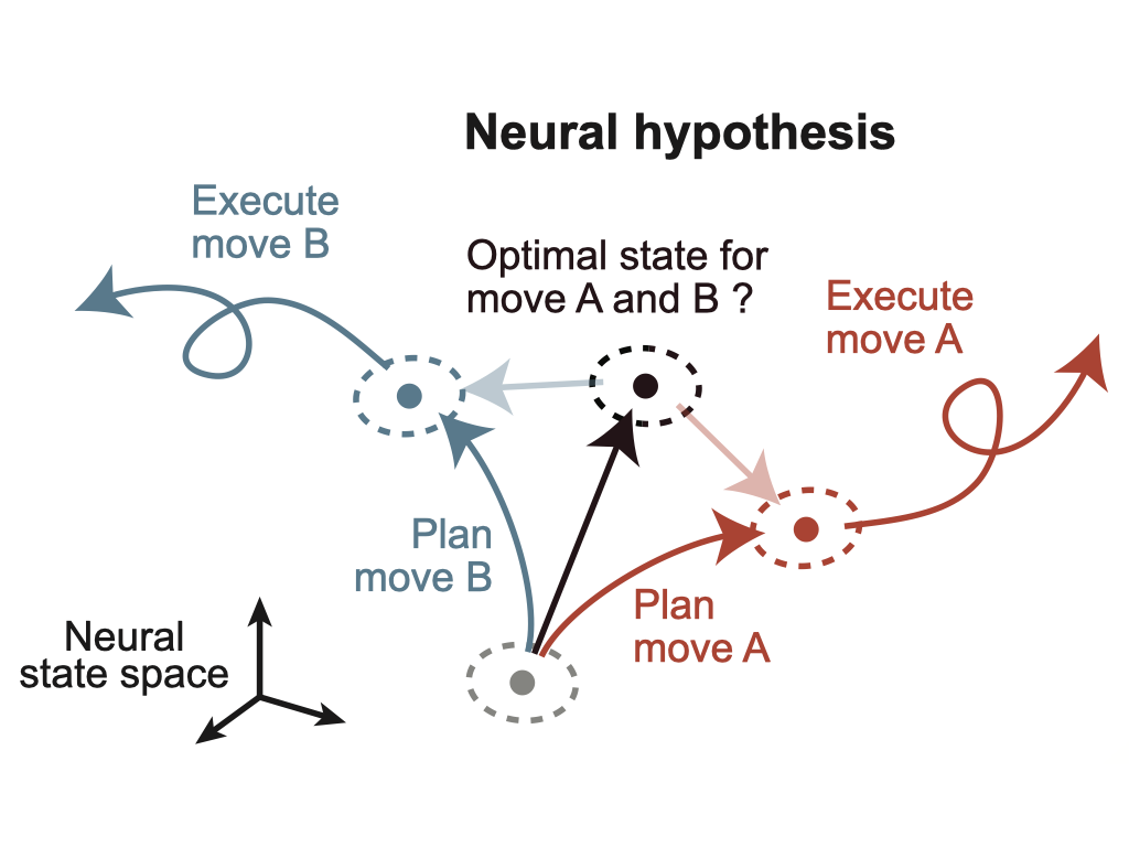How does the brain plan multiple upcoming movements in parallel